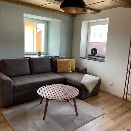 Bohlinger Und Bike Verleih Apartment Singen